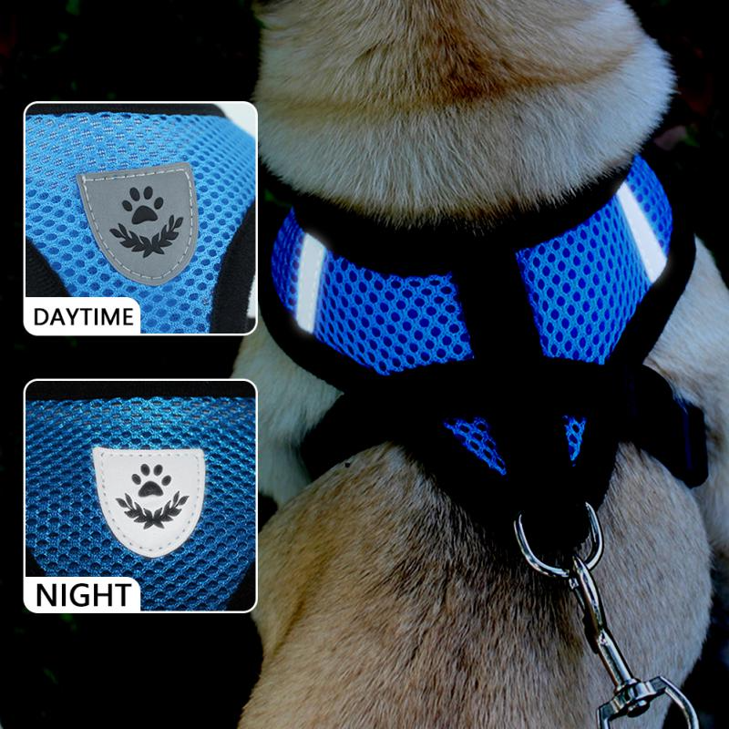 Reflective Pet Harness + Leash Set — Escape-Proof Vest for Cats & Dogs, S–XL
