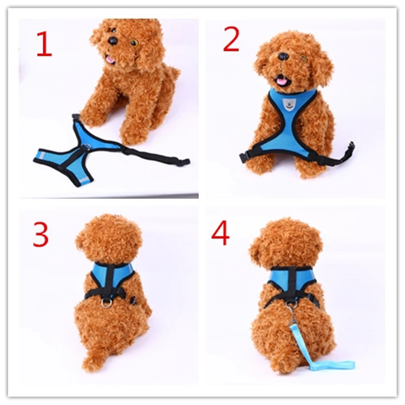Reflective Pet Harness + Leash Set — Escape-Proof Vest for Cats & Dogs, S–XL